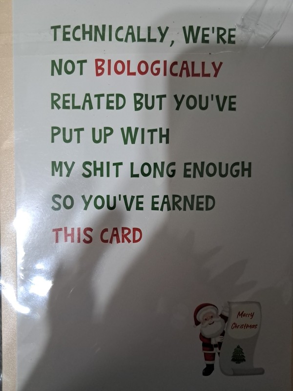 Christmas Card For Step Sibling
