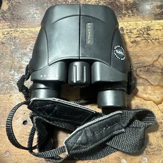 Leupold BX 1 Rogue Binoculars Black 10x25