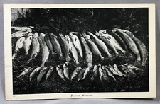 1944 BRAINERD Minnesota FISHING Stringer Postcard Vintage Original