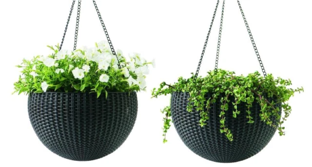 Cestas de plantas Keter Brown, macetas, cestas de pared de Ventana