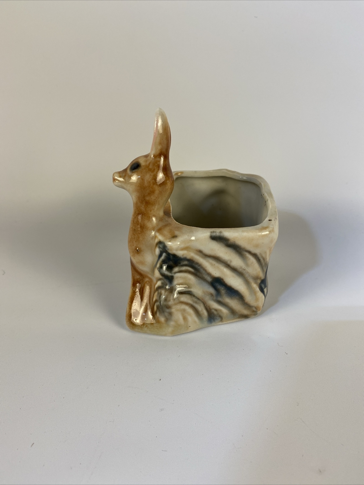 Picture 4 of 5