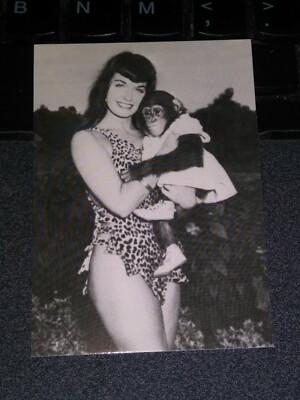 BETTIE PAGE: THE QUEEN OF CURVES Complete 