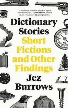 Dictionary Stories: Short Fictions and Other Findings vo... | Buch | Zustand gut