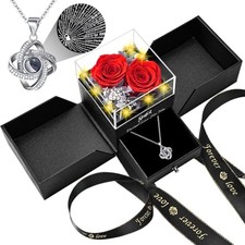 2 Preserved Rose Gift for Women - Eternal Rose with I Love You Necklace - Red