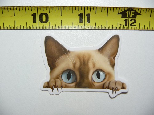 CUTE PEEKING CUTIE STICKER DECAL CAT KITTEN PET LOVE PEEK A BOO