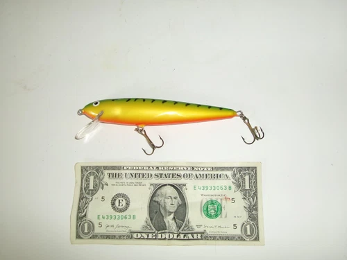 5" Body Salmo Floating Crankbait Lure Whitefish (?) - Used