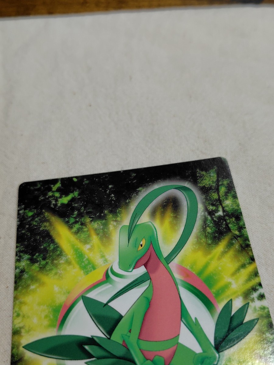 Grovyle Pokemon Japanese Carddass Zukan Card Nintendo A3007 | eBay