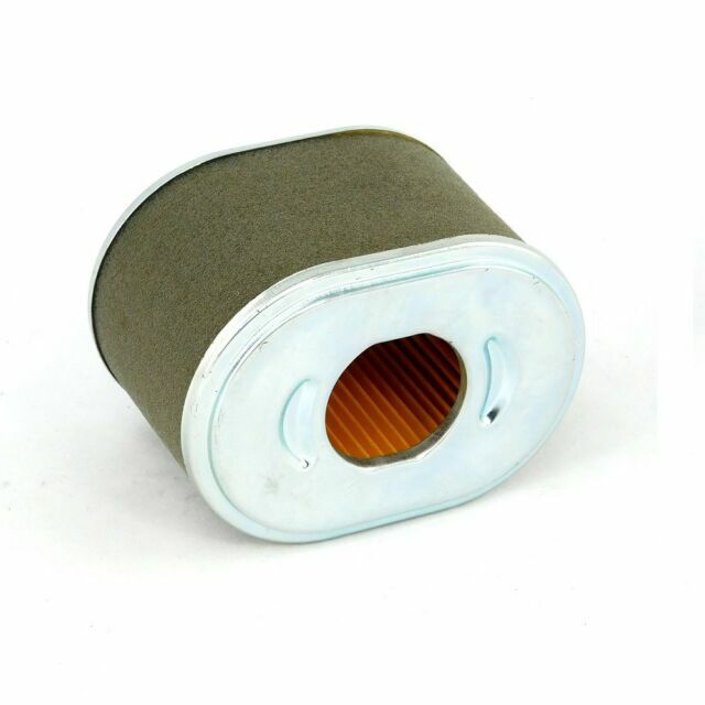 DEWALT OEM 28581829 Replacement Pressure Washer Air Filter Dpd3100 for