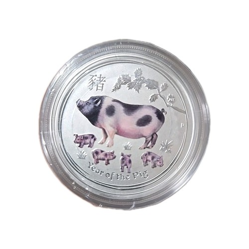 2019 Year of the Pig COLORIZED 1/2 oz Perth Mint Silver Coin | eBay