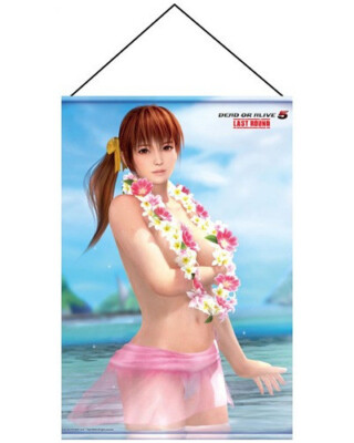 Dead or Alive 5 Last Round Kasumi B2 Tapestry Wall Scroll Koei Tecmo Games New