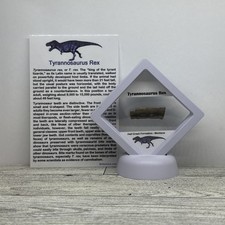 Tyrannosaurus Rex 