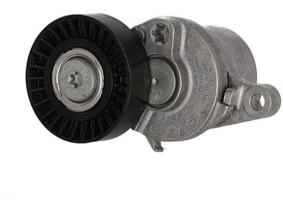 For Mercedes SL63 AMG S E Performance Accessory Belt Tensioner Genuine 77528DSPF