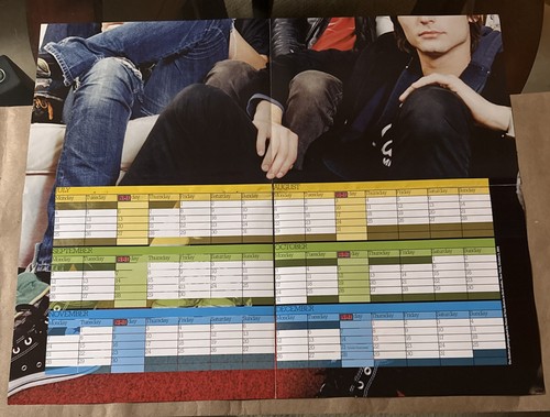 Morrissey NME 2005 Double Sided Fold -Out Calendar Poster Vintage - Picture 2 of 6