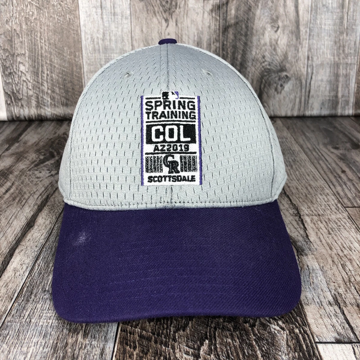 2019 mlb cheap spring training caps