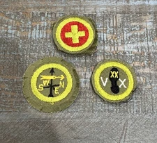 3 Boy Scout Merit Badges