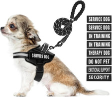 Service Dog Vest Harness and Leash Set, in Training Dog Harness with 10 Dog Pat