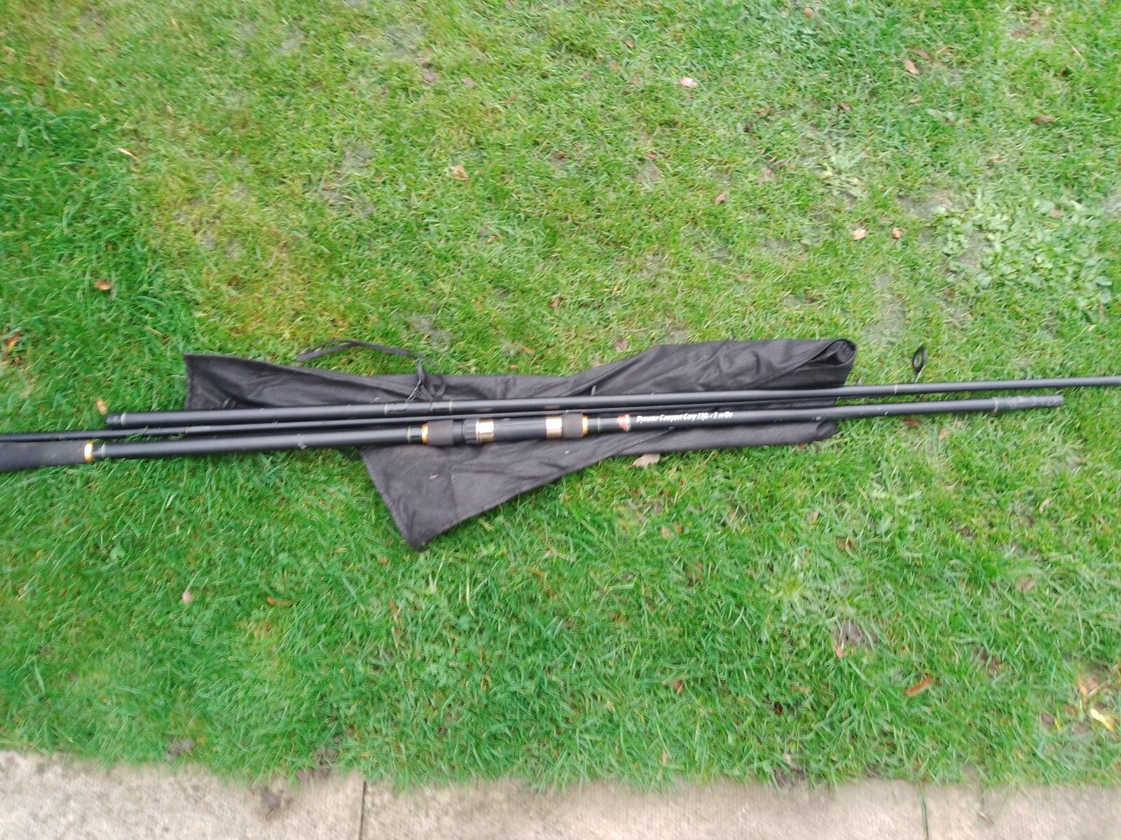 dragon carp fishing rods x2 fishing rods eBay