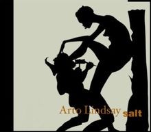 Salt von Lindsay,Arto | CD | Zustand sehr gut