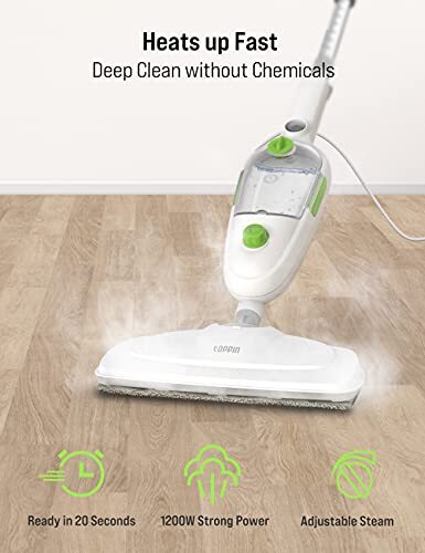 strong steam cleaner