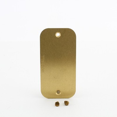 Hubbell Blank Brass Plate S609B For S6088 Above-Floor Electrical Pedestal Box