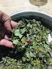 Moringa feuilles séchées tisane épice ayurvédique bio naturel Ceylan 20gr...