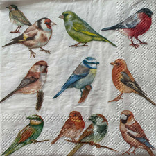2 x cocktail paper napkins for decoupage birds parade robin blue tit