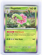 2025 Pokemon—Meganium #001 Mega Evolution Promo—Black Star Promo Foil