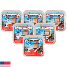 Pine Tree Farms Hi-Energy Suet Cake Wild Bird Food 12 oz. 6-Pack 6