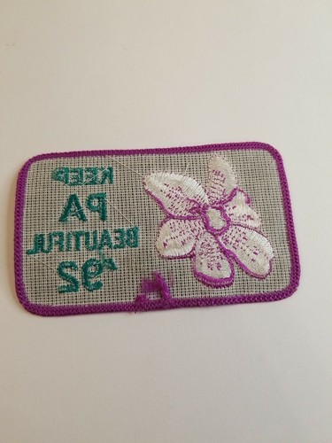 Patch Ambiente Vintage 1992 Keep Pennsylvania PA Bellissima Non Litter - Foto 2 di 3