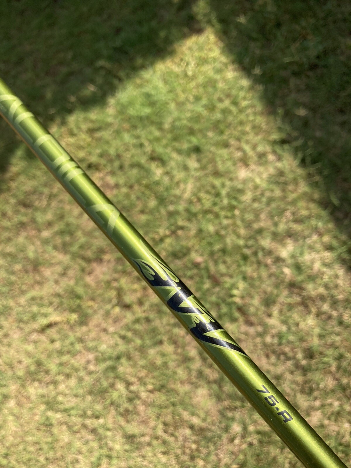 Picture 4 of 6