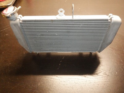 2017 Yamaha R3 | Engine Cooling Radiator | Used OEM | eBay