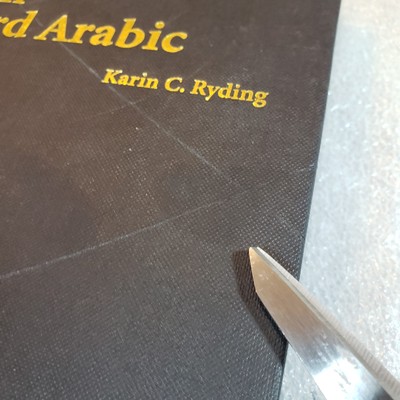 Reference Grammars Ser.: A Reference Grammar of Modern Standard