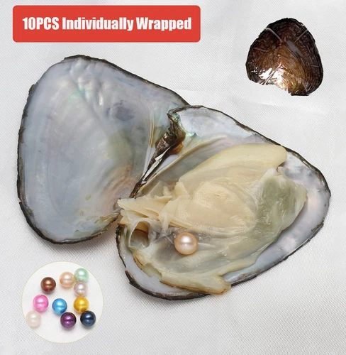 10PCS Bulk Natural Freshwater Akoya Pearl Oysters Real Pearl Bulk w/Large Pearls - Picture 7 of 10
