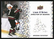 2023-24 Upper Deck Director of Boards Sparkle #DB7 Liam O'Brien - HKY