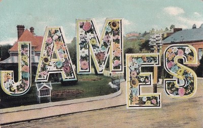 Floral Name James Postcard B29