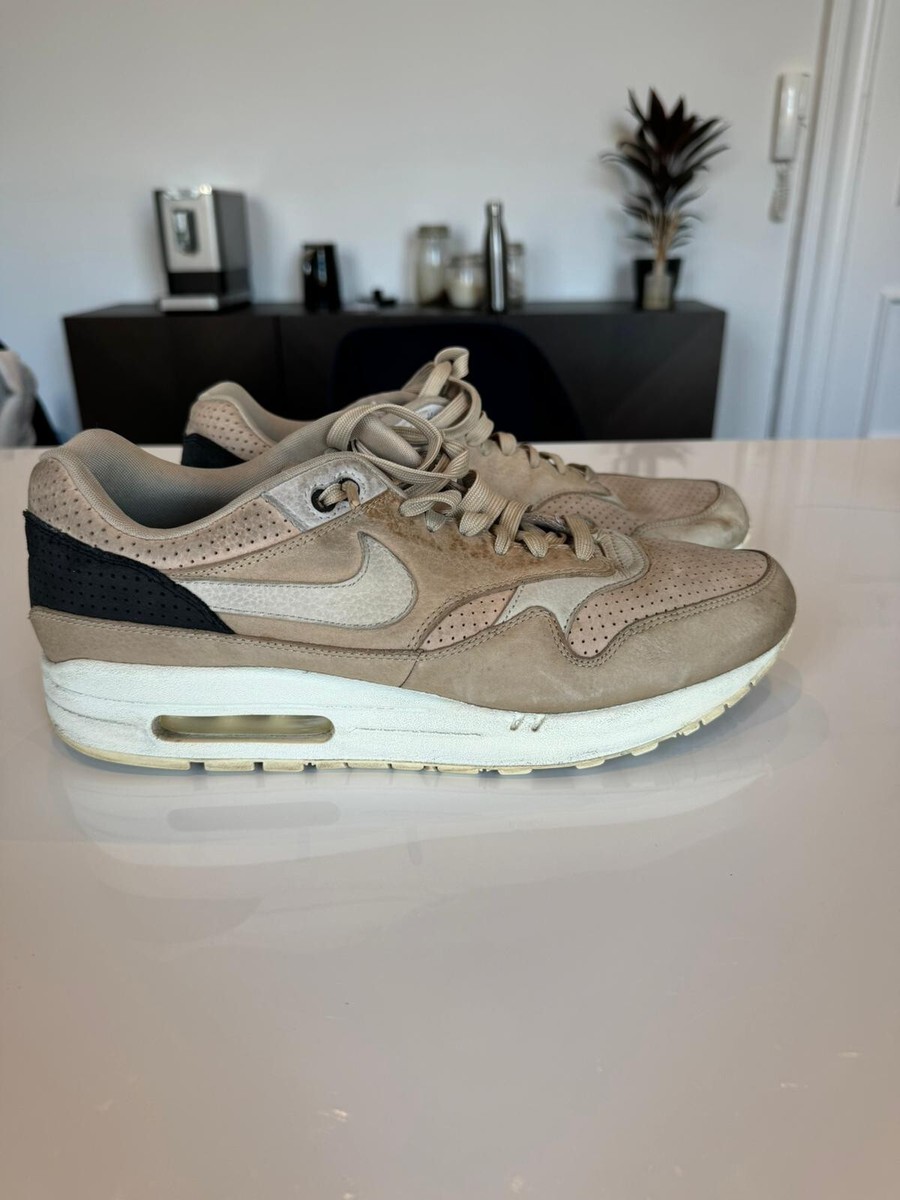 nike air max 1 pinnacle mushroom