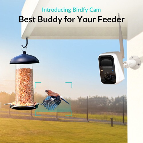 NETVUE WiFi Smart Bird Feeder Camera with Solar Pannel, Auto Capture Bird Videos - Bild 9 von 11