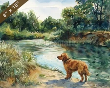 Otterhound watercolor painting by a serene river 8x10 Print 