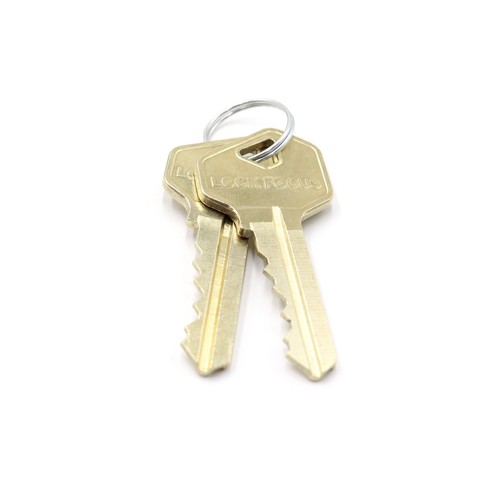 Lock Focus Roller Door Lock AR/V9C4/KD/4-/-LL - Picture 3 of 6