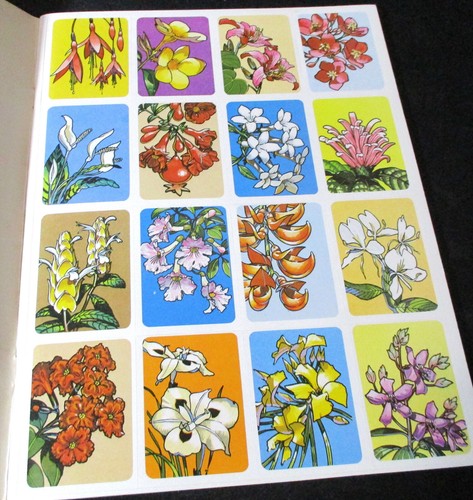 2 bks COCOJOE'S HAWAIIANA COLORING BOOK-HAWAIIAN FLOWERS STICKER AND COLORING BK - Picture 6 of 10