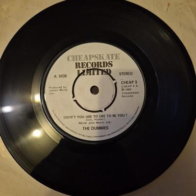 #ad The Dummies Didn#x27;t You Use To Use To Be You? 7quot; Vinyl Single VG GBP 3.99