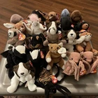 Lot of 22 Vintage 1990s Beanie Babies - Mint Condition