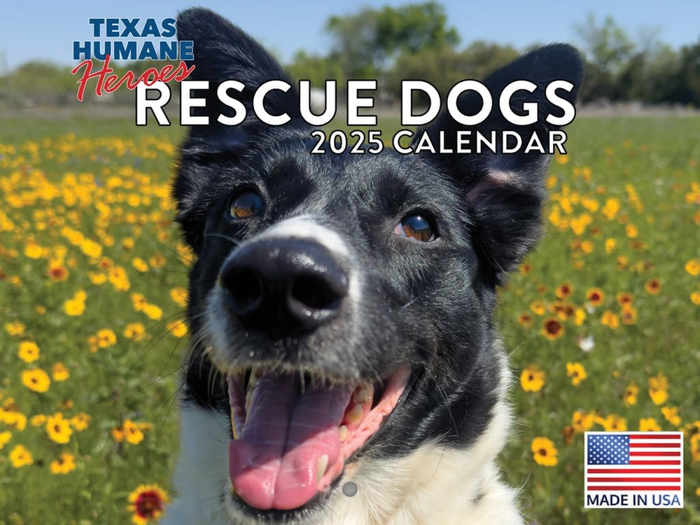 Rescue Dog Calendar 2025 Wall Monthly Calander Helping Dogs in Need Dog Lovers G