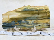 Gary Green (larsonite, Freedom) Jasper Slab, Lot #162