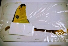 Agrema mitteri  moth  ssp MALE, A1  Madagascar...with data. 