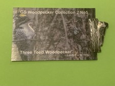 None RSPB badge. THREE TOED WOODPECKER with  backing card