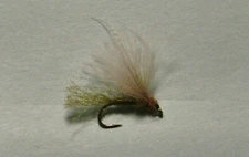1 Dozen OLIVE  CDC Caddis Emergers  size 14-16-18