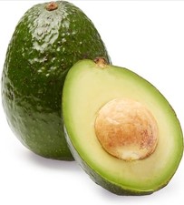 Hass Avocado Seeds (6) / Fresh / Florida / Tree