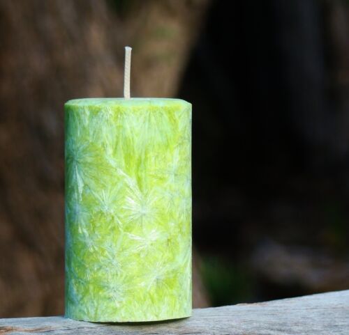 SEA SIDE HERBS Eco Candle 40+ hour burn BEACHY SCENT with BASIL THYME & ROSEMARY - Zdjęcie 1 z 11
