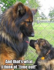 Humorus German Shepherd dog  fridge  magnet 3 1/2 X 4  